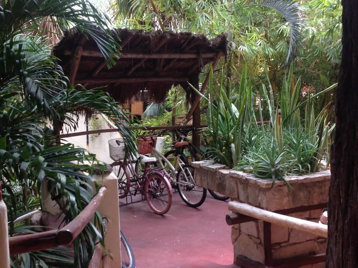 One Bedroom Apt In The Heart Of Playa Only One Block To The Beach! بلايا ديل كارمن