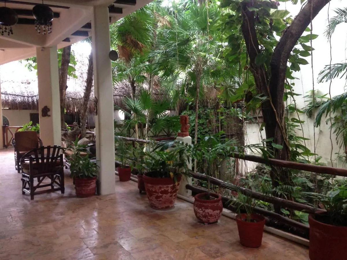 One Bedroom Apt In The Heart Of Playa Only One Block To The Beach! بلايا ديل كارمن المكسيك