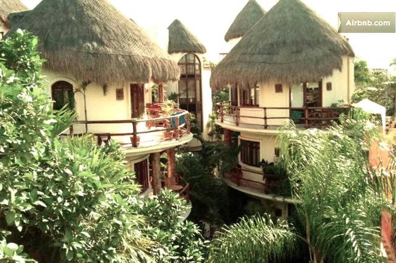 One Bedroom Apt In The Heart Of Playa Only One Block To The Beach! Playa del Carmen 0*,
